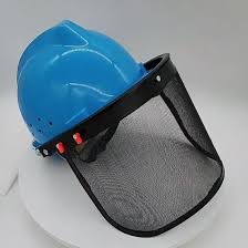 face protector (2)