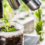 گیاه پزشکی چیست؟